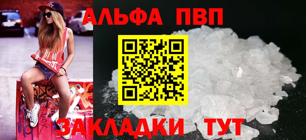 A PVP СК КРИС Вологда