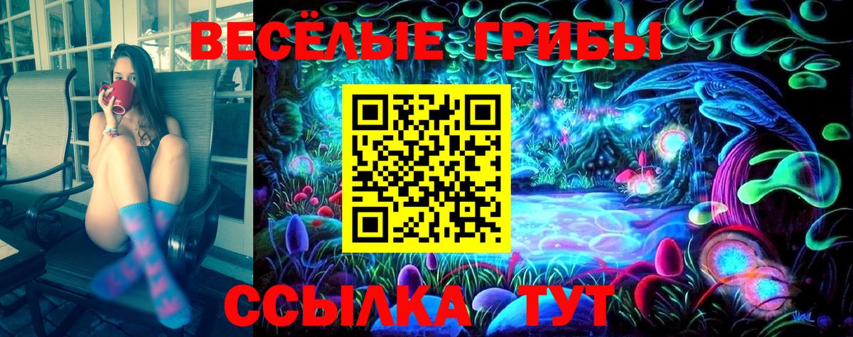 Галлюциногенные грибы мухоморы Вологда